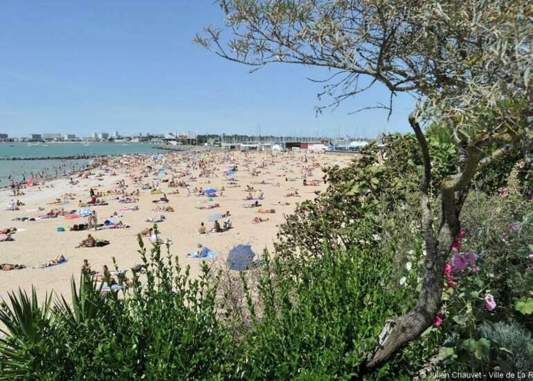 Apartment Au Coeur Du Centre De La Rochelle Au Calme Avec Stationnement Gratuit